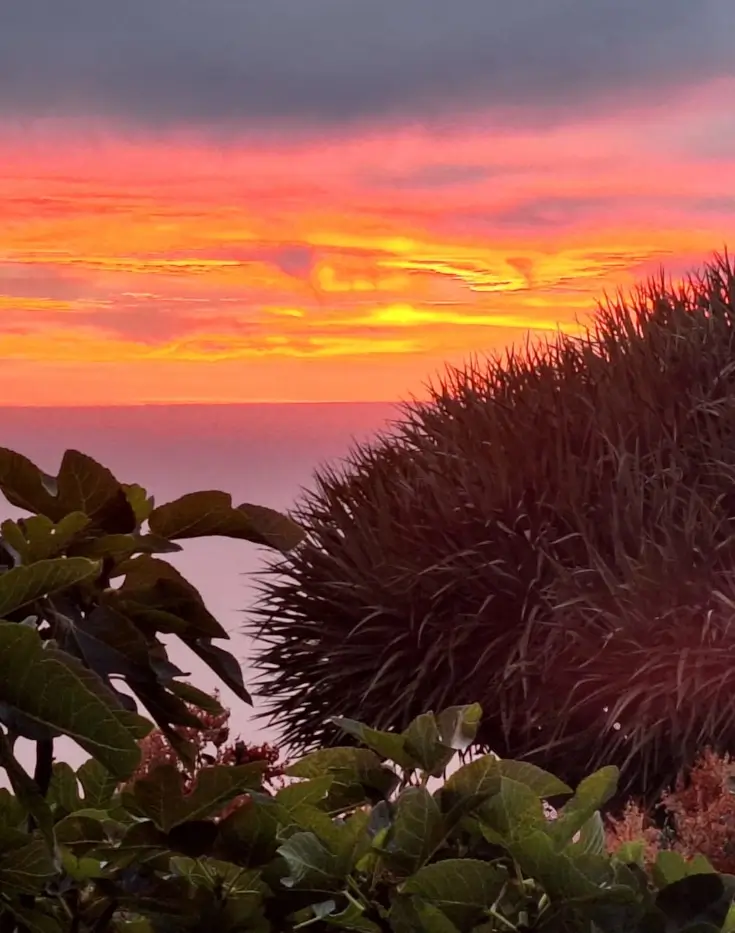Conoce la isla de La Palma